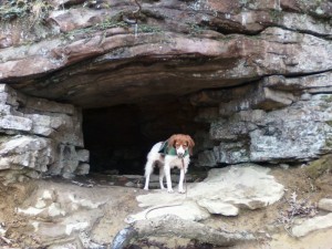 Look at the cool cave Claire discovered on our hike!