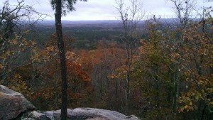 Over the cliff at FDR