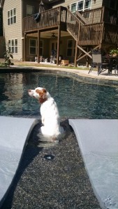 Checking out my aunt's pool.  Can you tell I love water?