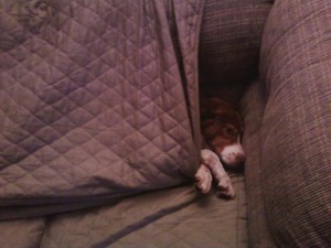 Clair hiding in the sofa